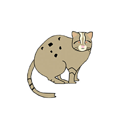 ツシマヤマネコ