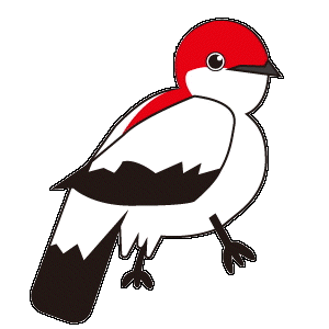 アラリぺマイコドリ