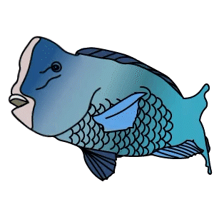 カンムリブダイ