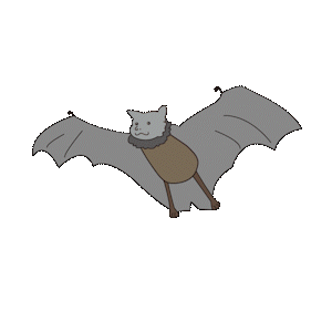 オガサワラコウモリ