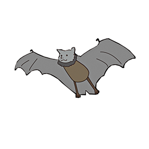 オガサワラコウモリ