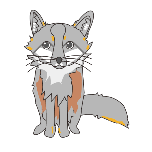 シマハイイロキツネ